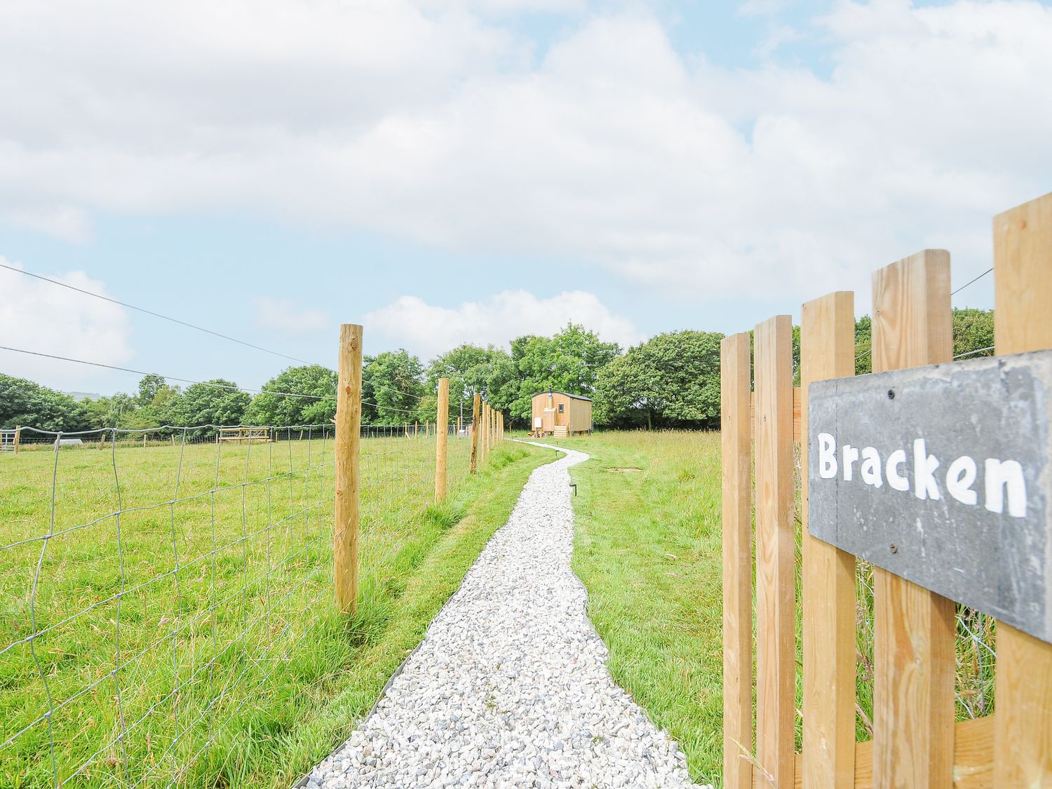 Bracken                     photo 18