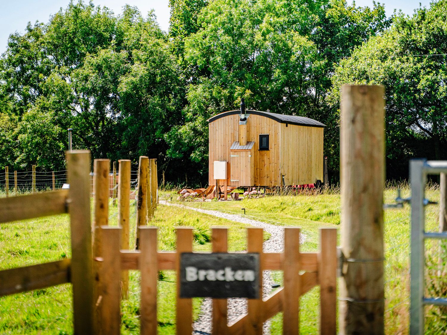 Bracken                     photo 2