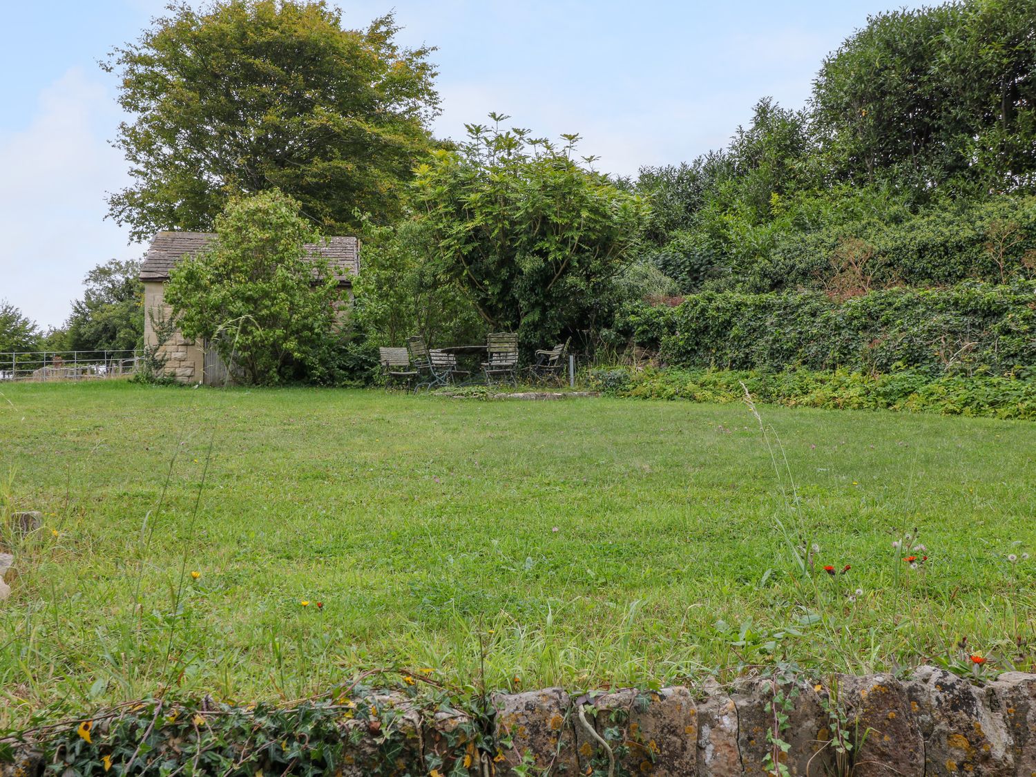 Blue Bell                     photo 21