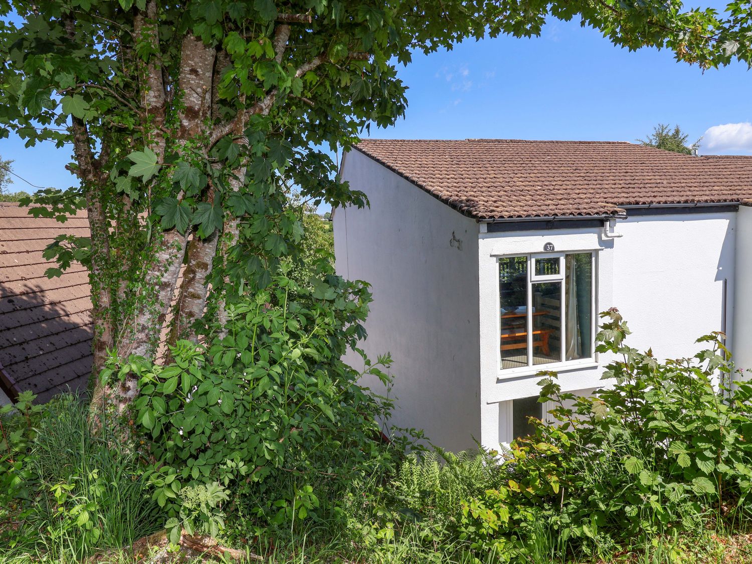 An exterior view of a white house with a brown tiled roof and surrounding green trees and bushes at 37 Tamar in St Ann's Chapel near Callington