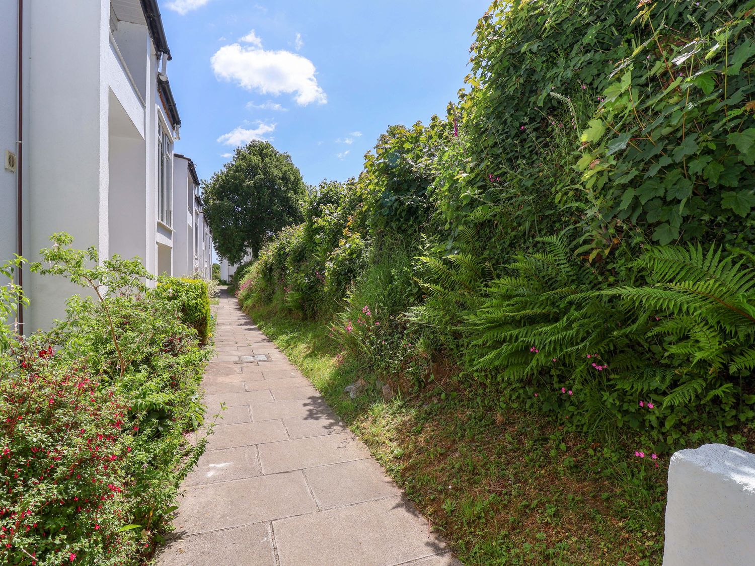 A paved walkway bordered by buildings on one side and dense greenery on the other at 37 Tamar in St Ann's Chapel near Callington
