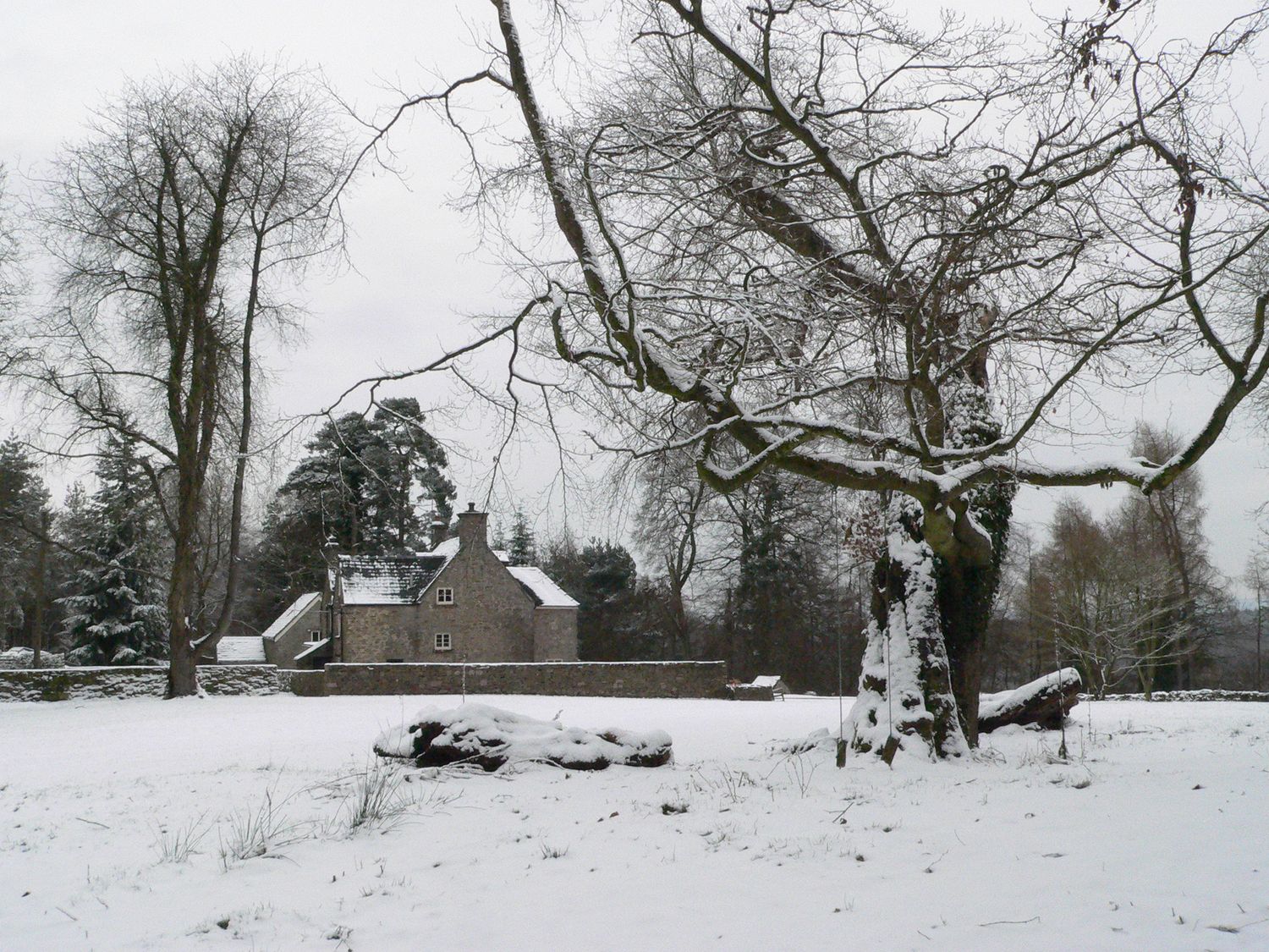 Danby Lodge                     photo 98