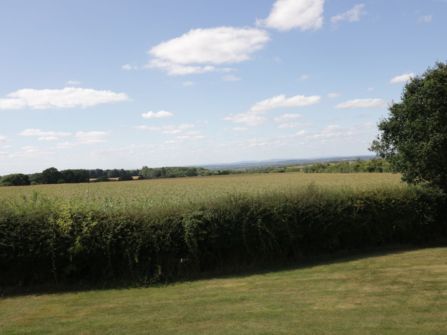A grassy lawn with a hedge and trees beyond overlooking open fields and a partly cloudy sky at Little Acre in Church Lench near Harvington