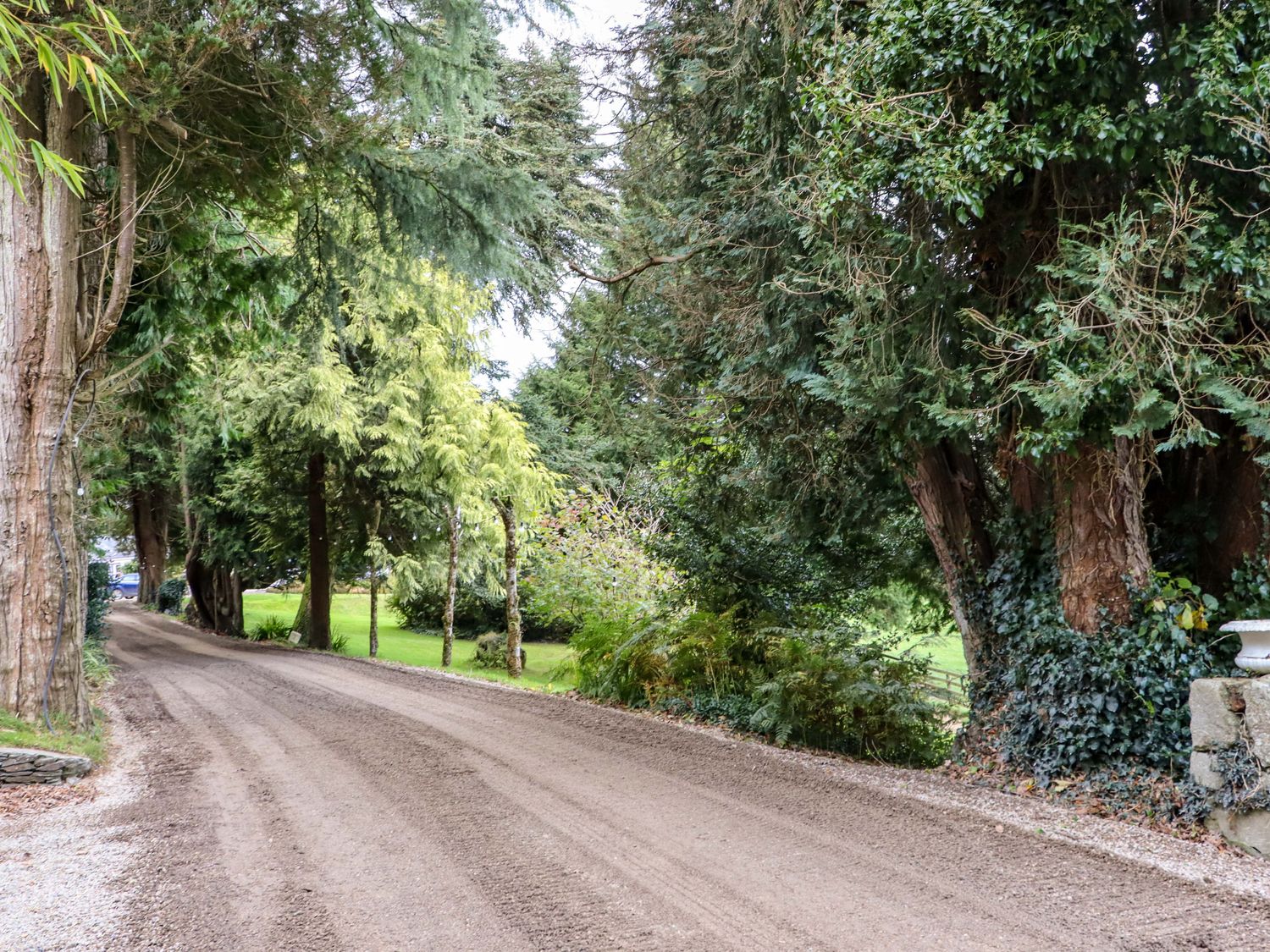 A dirt road bordered by trees and greenery at Ballybeg Pod 1 in Ballybeg near Tinahely County Wicklow