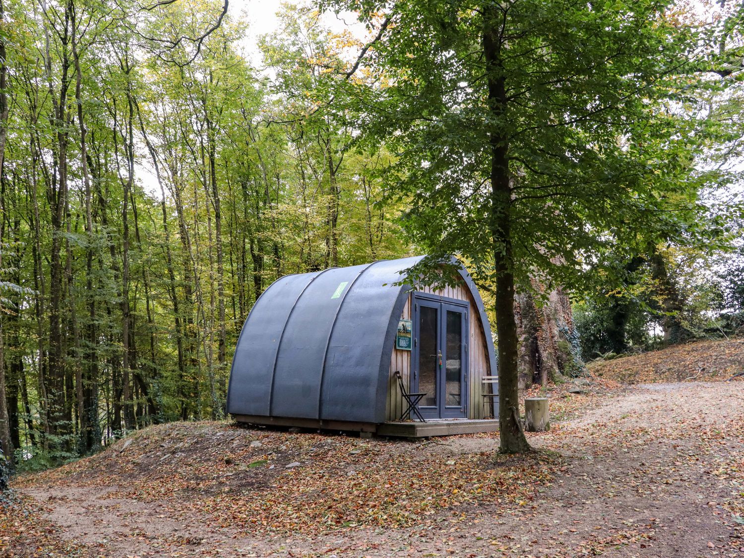 A small wooden pod with a curved roof next to a tree in a forest clearing at Ballybeg Pod 10 Ballybeg near Tinahely County Wicklow