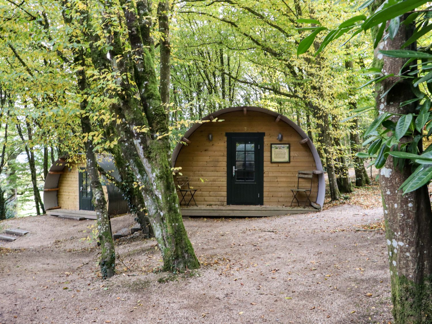 Two wooden pod cabins with black doors surrounded by trees at Ballybeg Pod 10 Ballybeg near Tinahely County Wicklow
