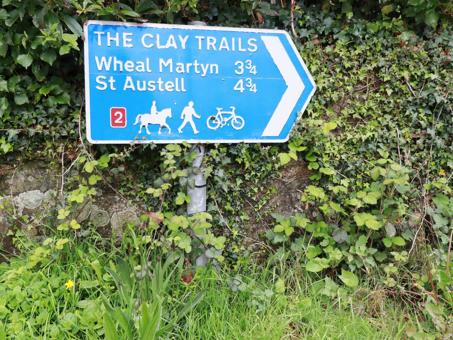 A blue directional sign for The Clay Trails showing distances to Wheal Martyn and St Austell surrounded by greenery