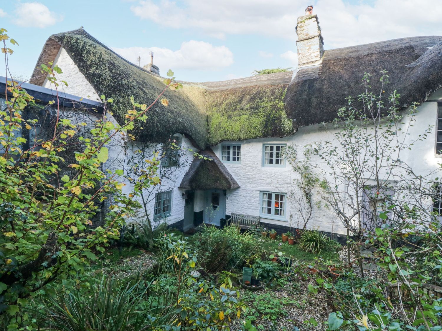 3 Cumberland Cottages - Devon - 1167264 - photo 1