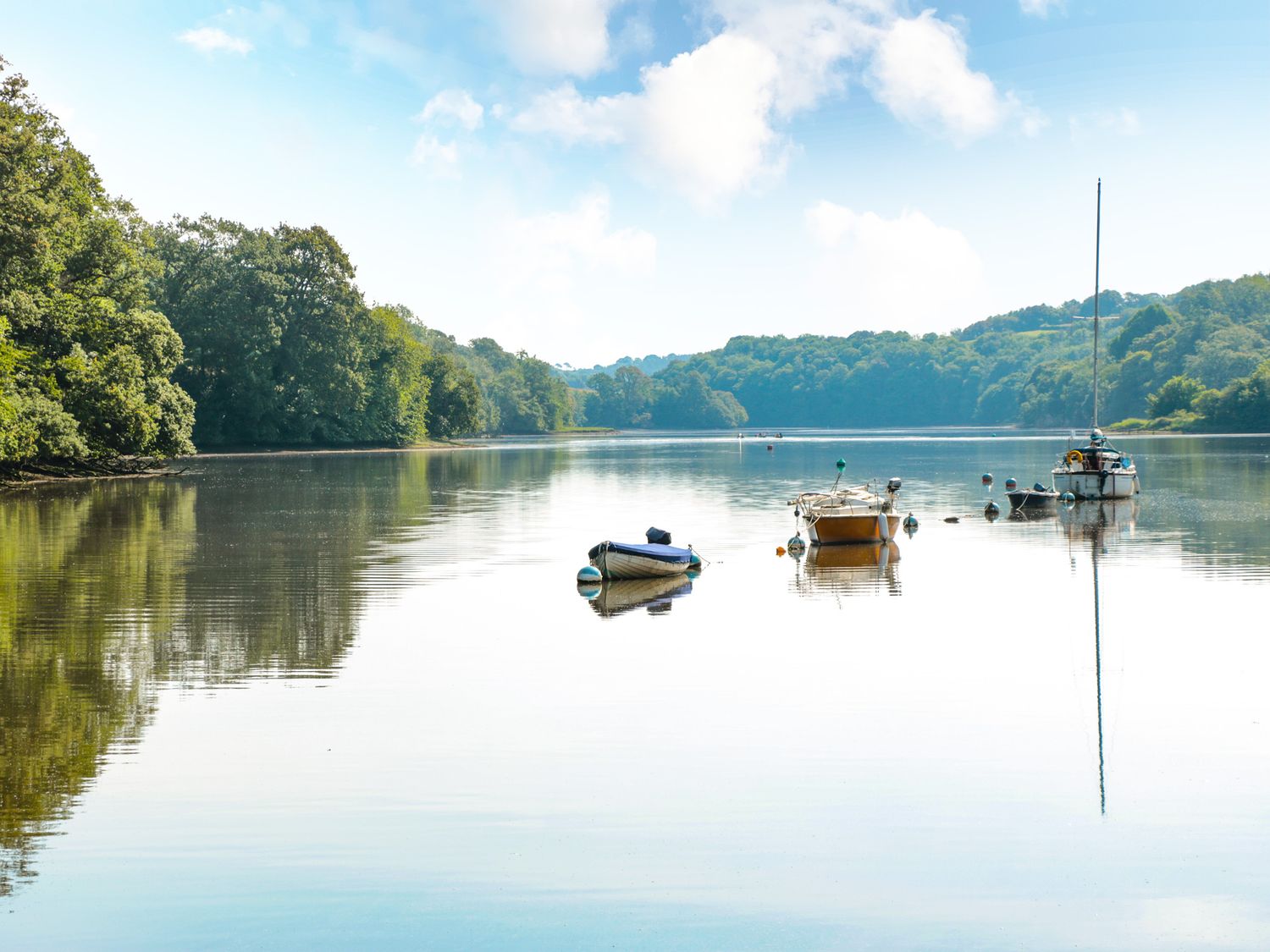 A river with boats on calm water and trees along the banks at Dove Cottage in Cornworthy near Totnes
