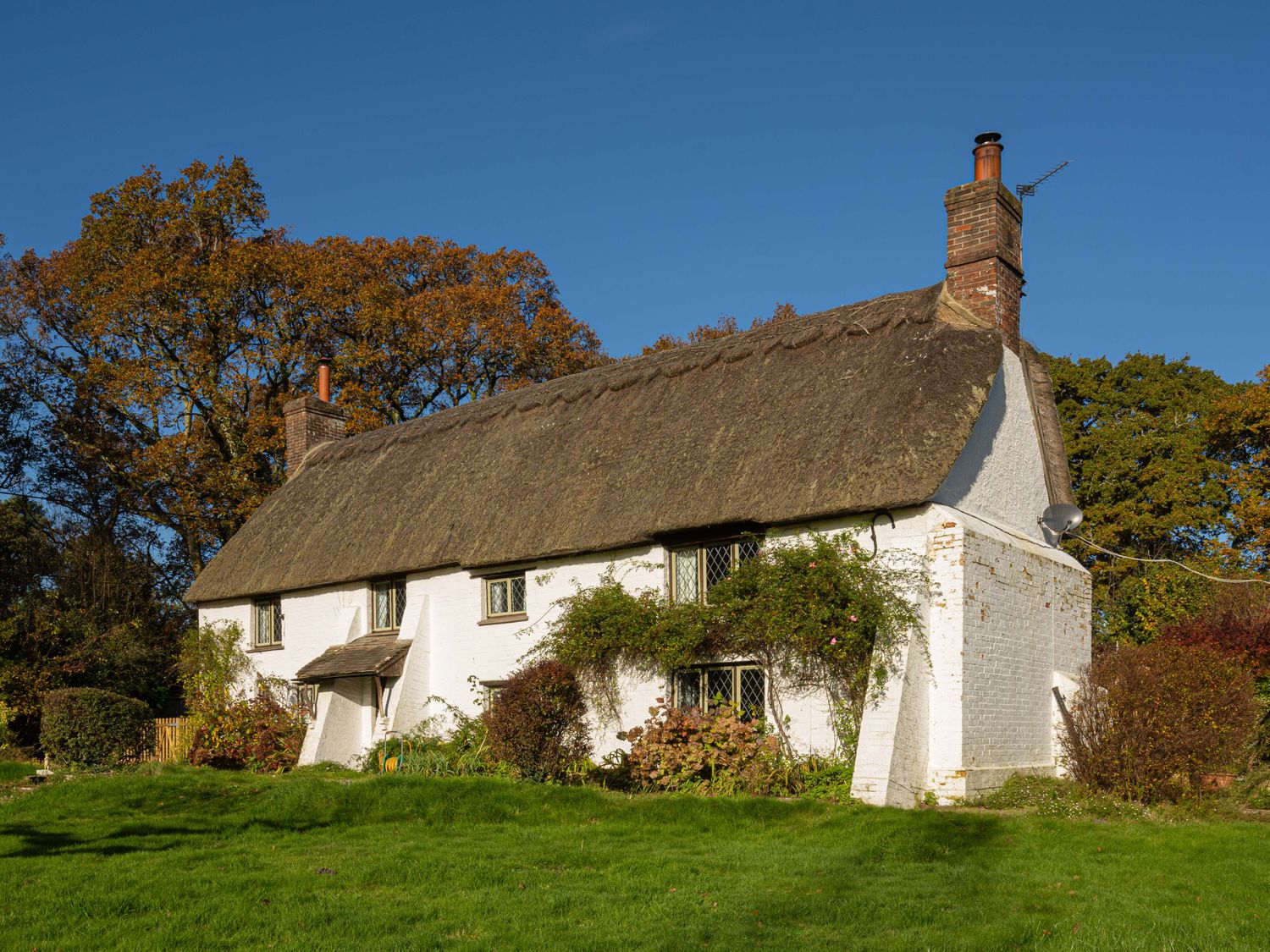 Little Lions Farm - Dorset - 1167943 - photo 1