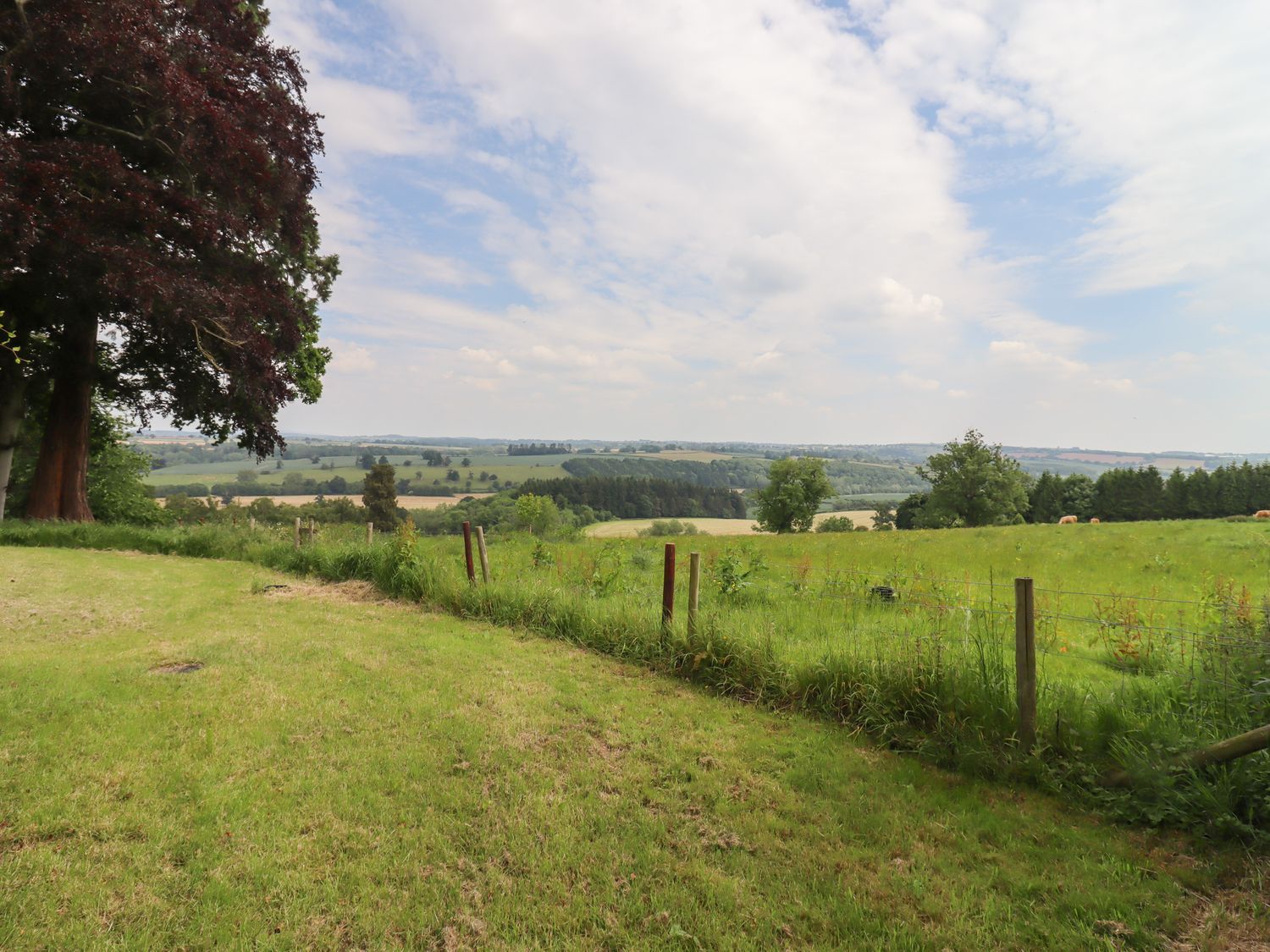 A grassy field with trees and a fence under a partly cloudy sky at Henhouse Farm in Bodenham