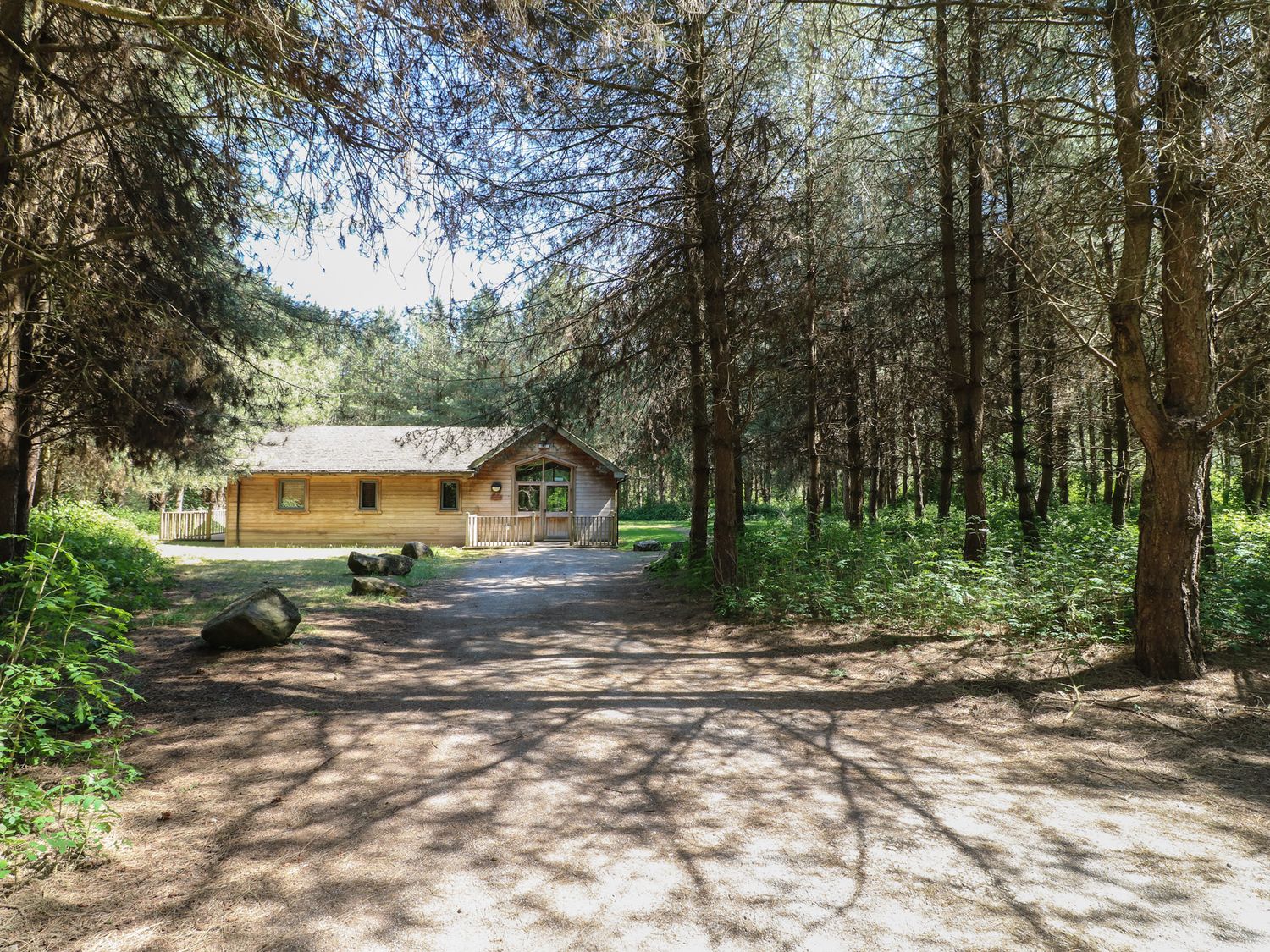 A dirt path leading to a wooden cabin surrounded by trees at Rowan Lodge in Rosliston