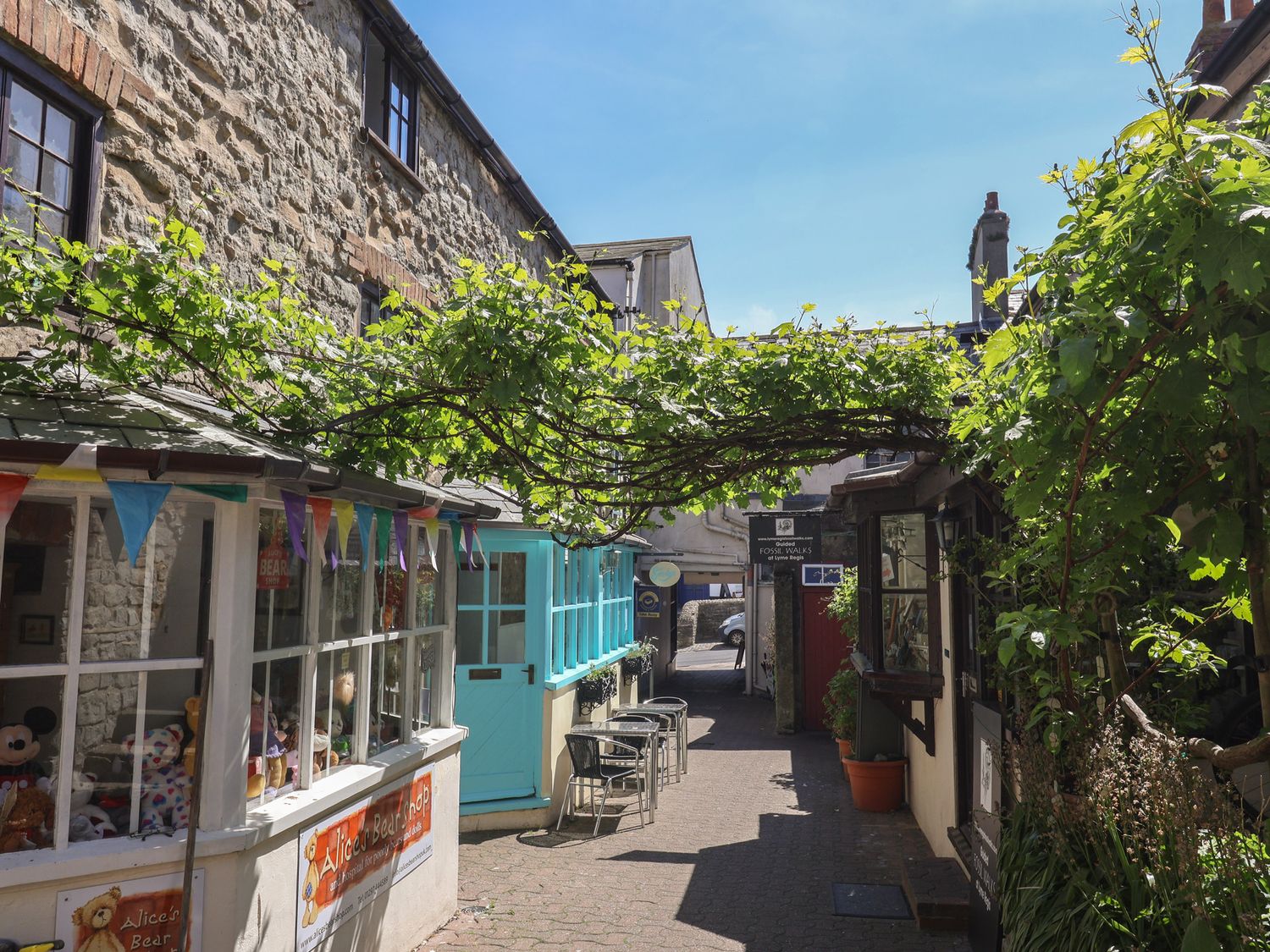 Drake's Hideaway - Dorset - 1168929 - photo 1