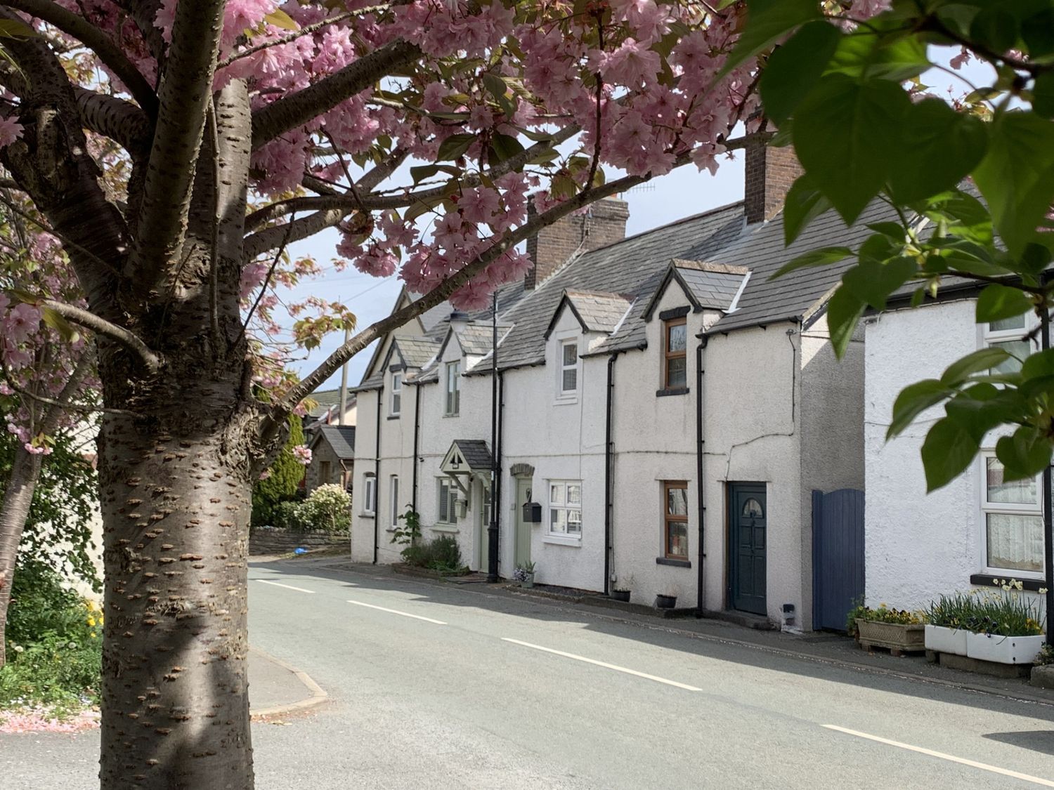 Cartref - North Wales - 1169306 - photo 1