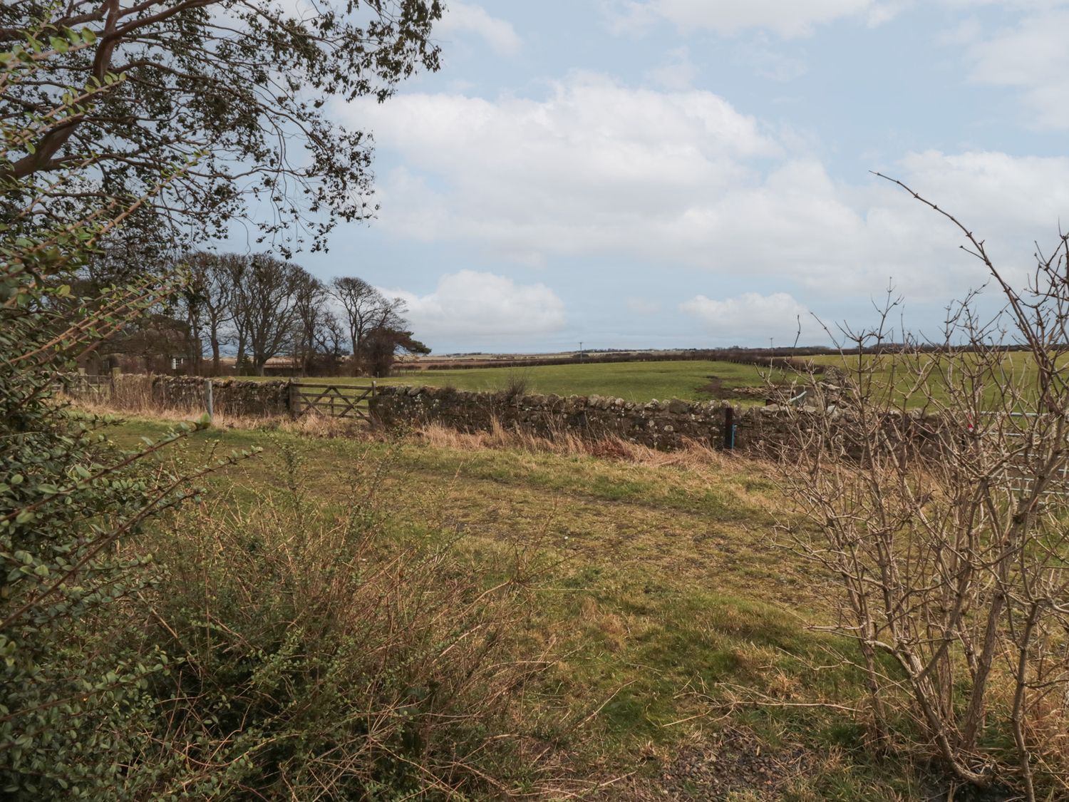 The Smithy photo 38