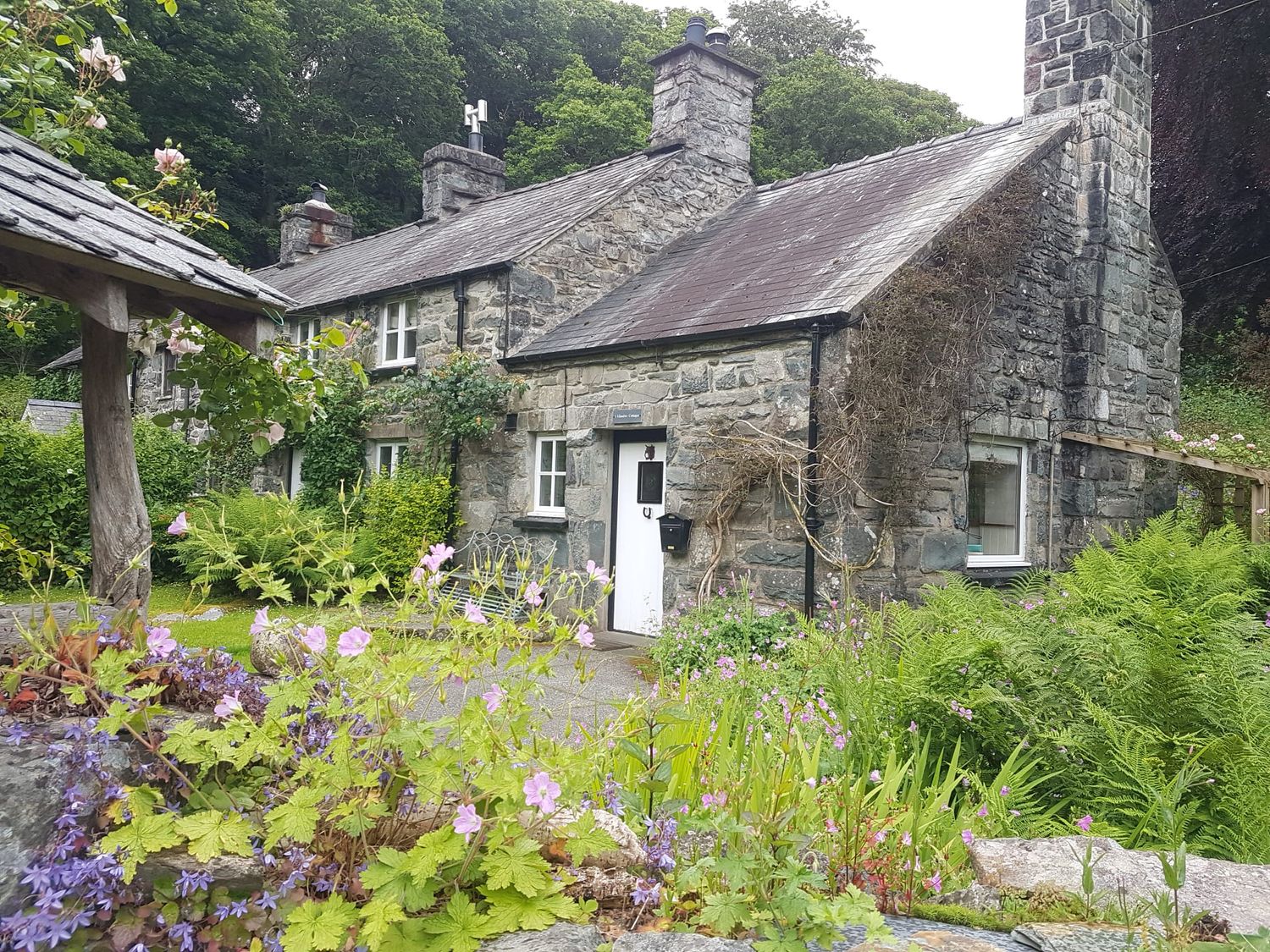 Glandwr Cottage - North Wales - 1169474 - photo 1