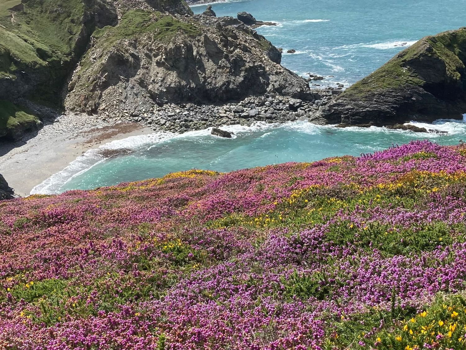 A coastal landscape with pink and yellow flowers on a hillside overlooking a rocky beach and turquoise sea at Hepworth in Portreath