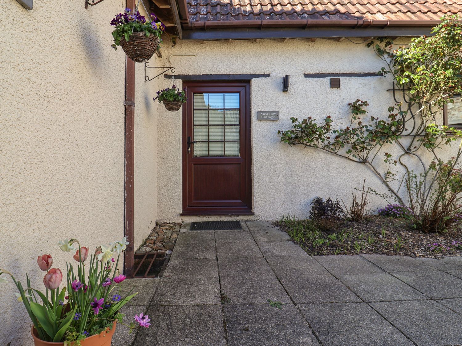A front door with hanging flower baskets and potted plants outside at Meadow Cottage in Upottery