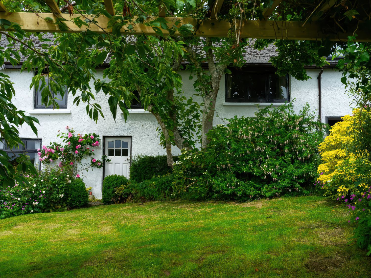 Magnolia View - Devon - 1170059 - photo 1