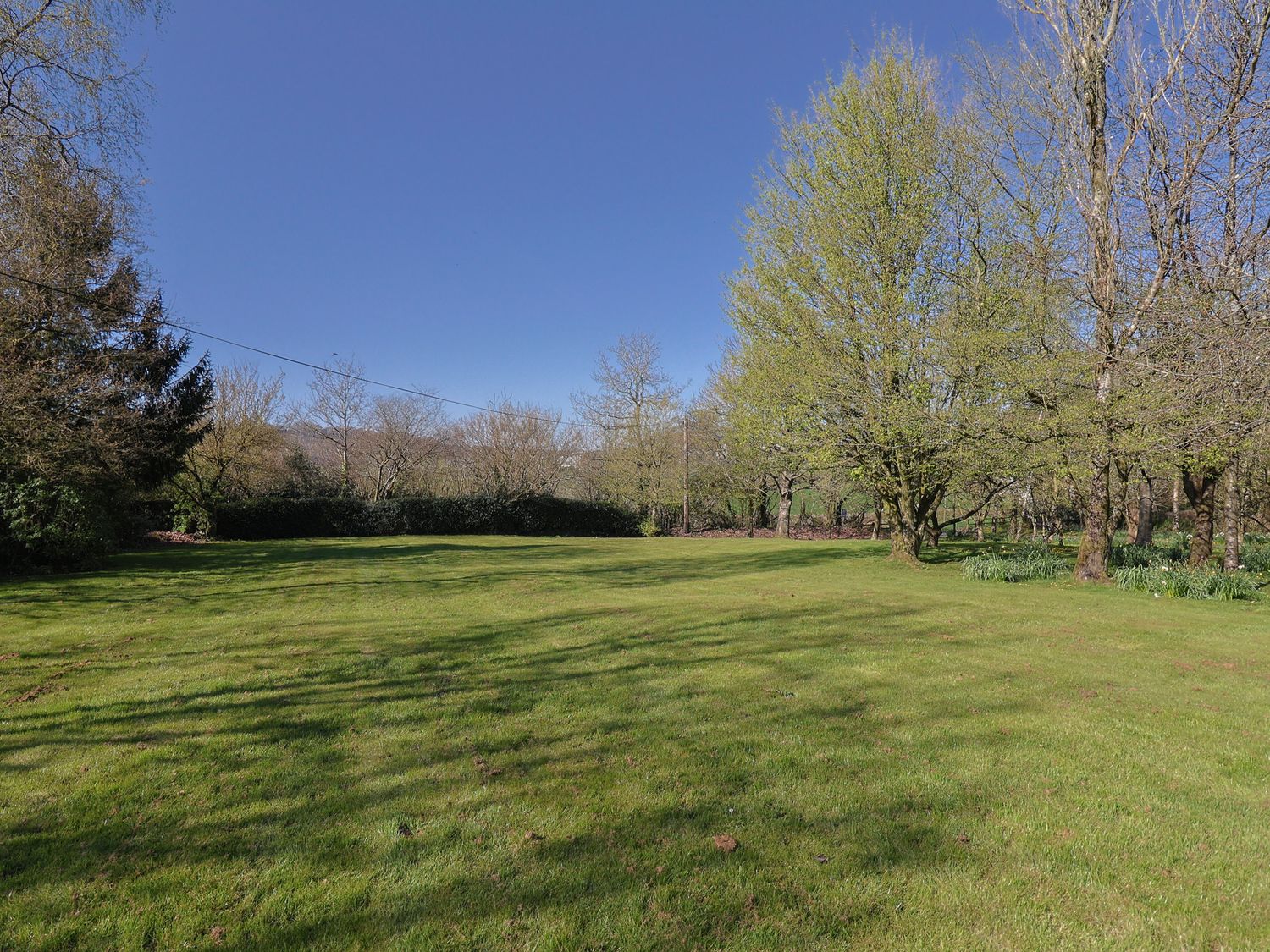 A large grassy lawn with trees around the edges under a clear blue sky at Apple Loft in Upottery
