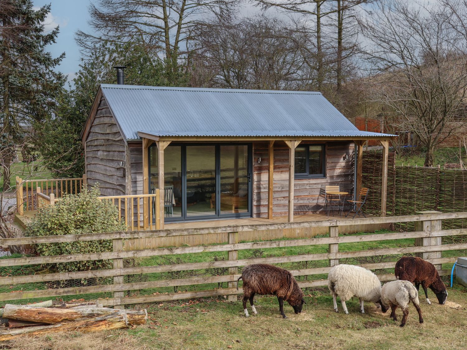 Beech Tree Cabin - North Yorkshire (incl. Whitby) - 1170484 - photo 1