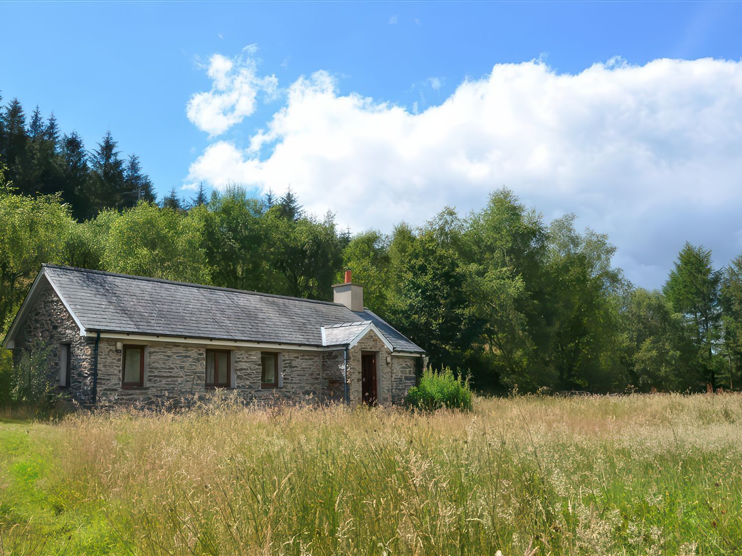 Cae'n Y Coed Barn - North Wales - 1172250 - photo 1