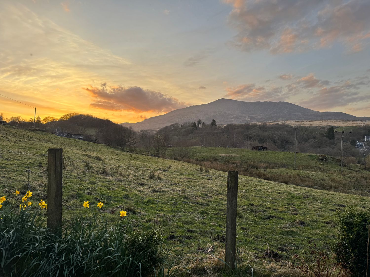 A grassy field with yellow flowers near a wooden fence and a mountain in the background at 1 Aberbeinw in Dolwyddelan