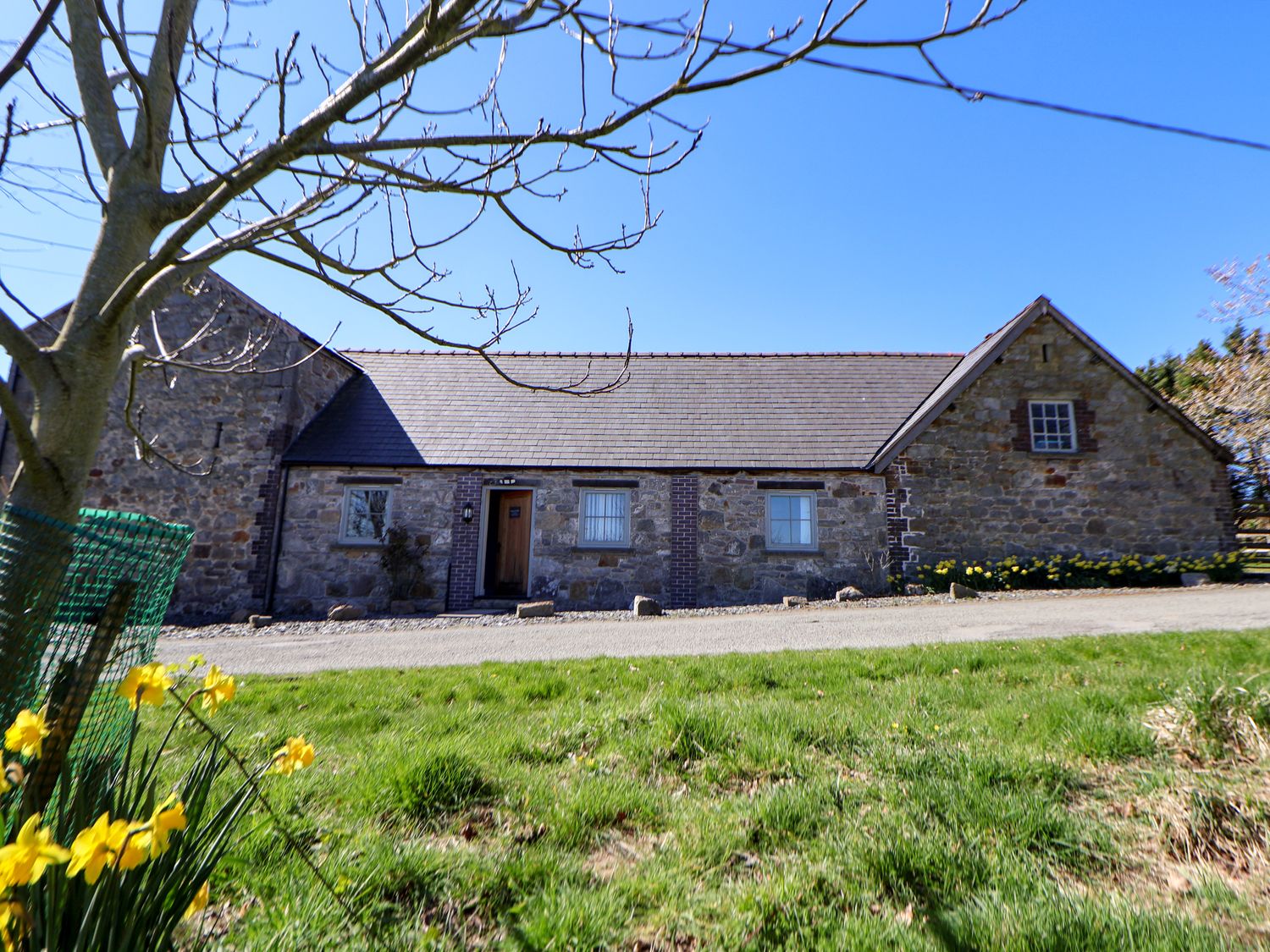 Walnut Cottage - North Wales - 1173134 - photo 1