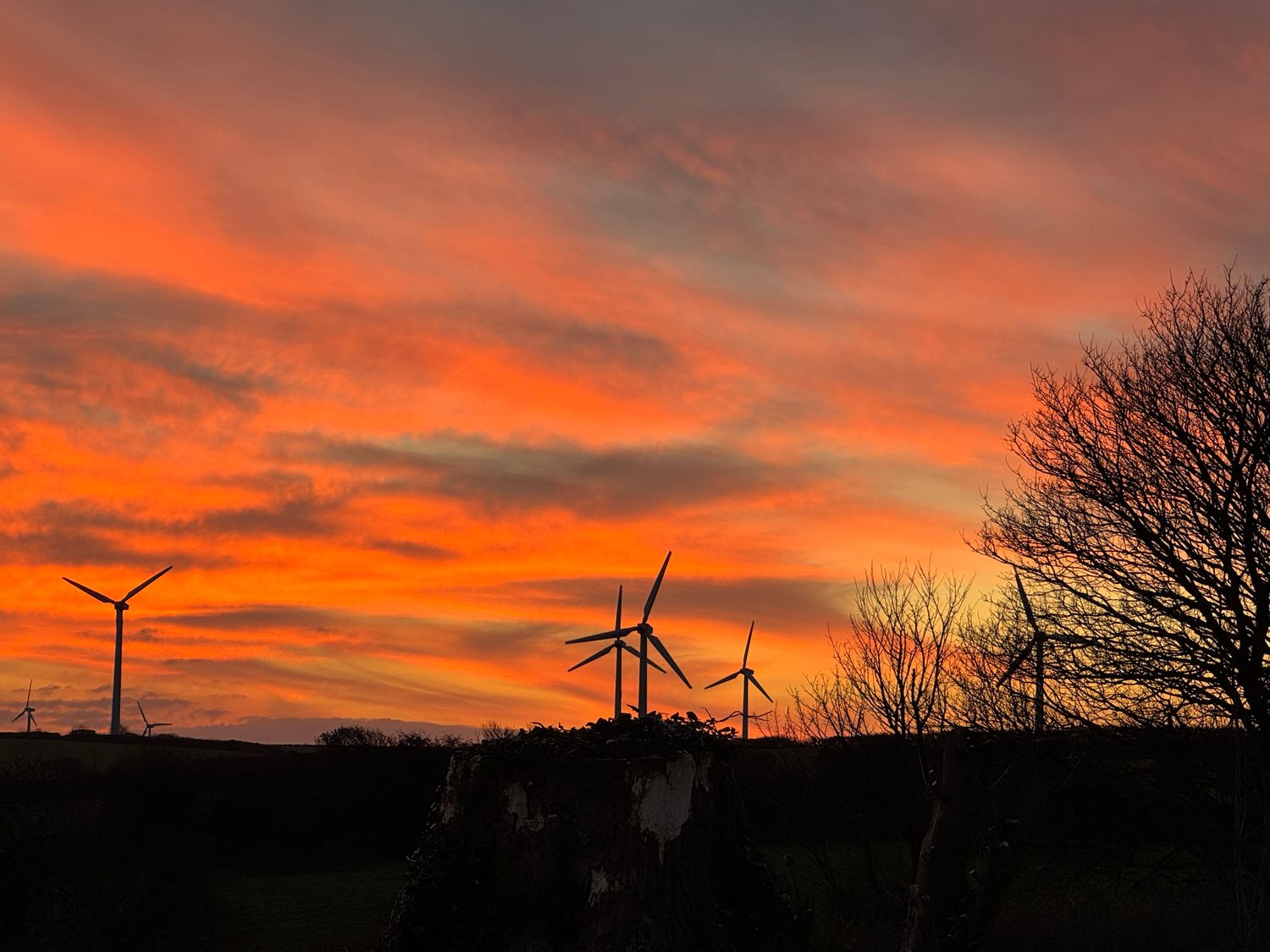 Wind turbines on a hill with trees at sunset with an orange and pink sky