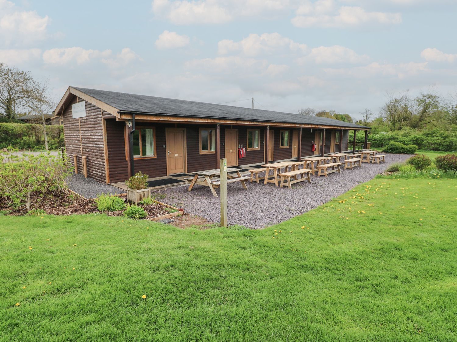 Cherry - South Wales - 1173979 - photo 1