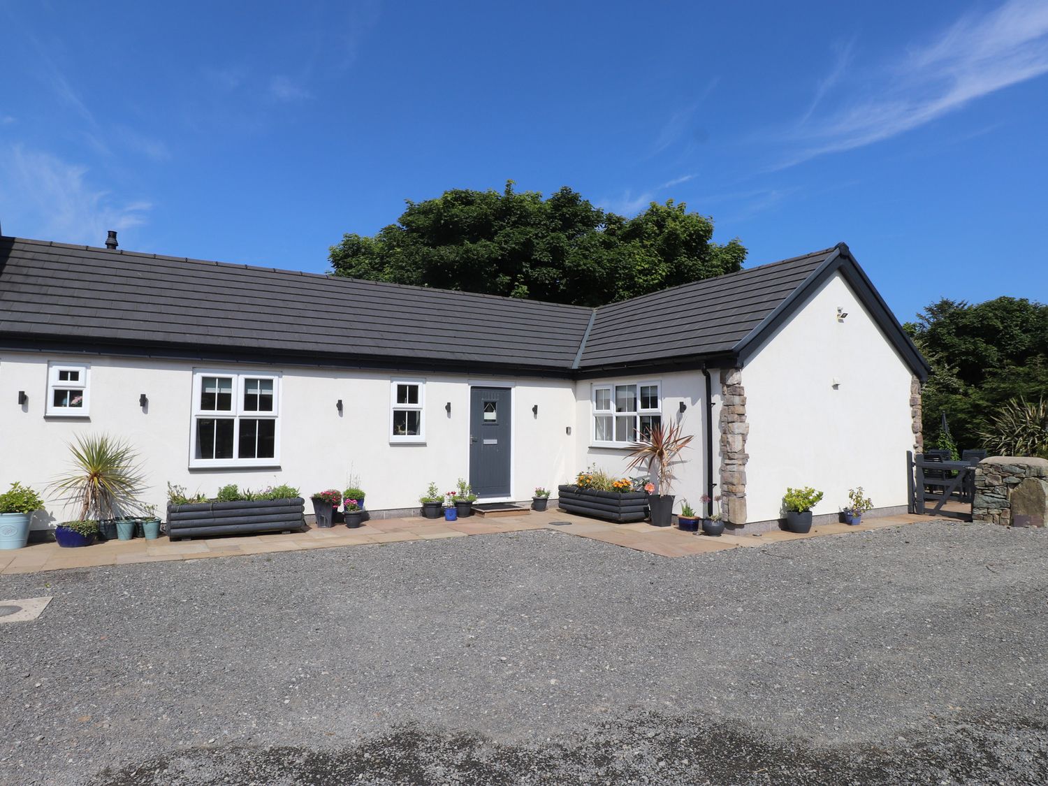 Exterior view of a white single-story house with a grey door and multiple potted plants at Annexe at Ty Moel Isaf in Pengorffwysfa near Amlwch