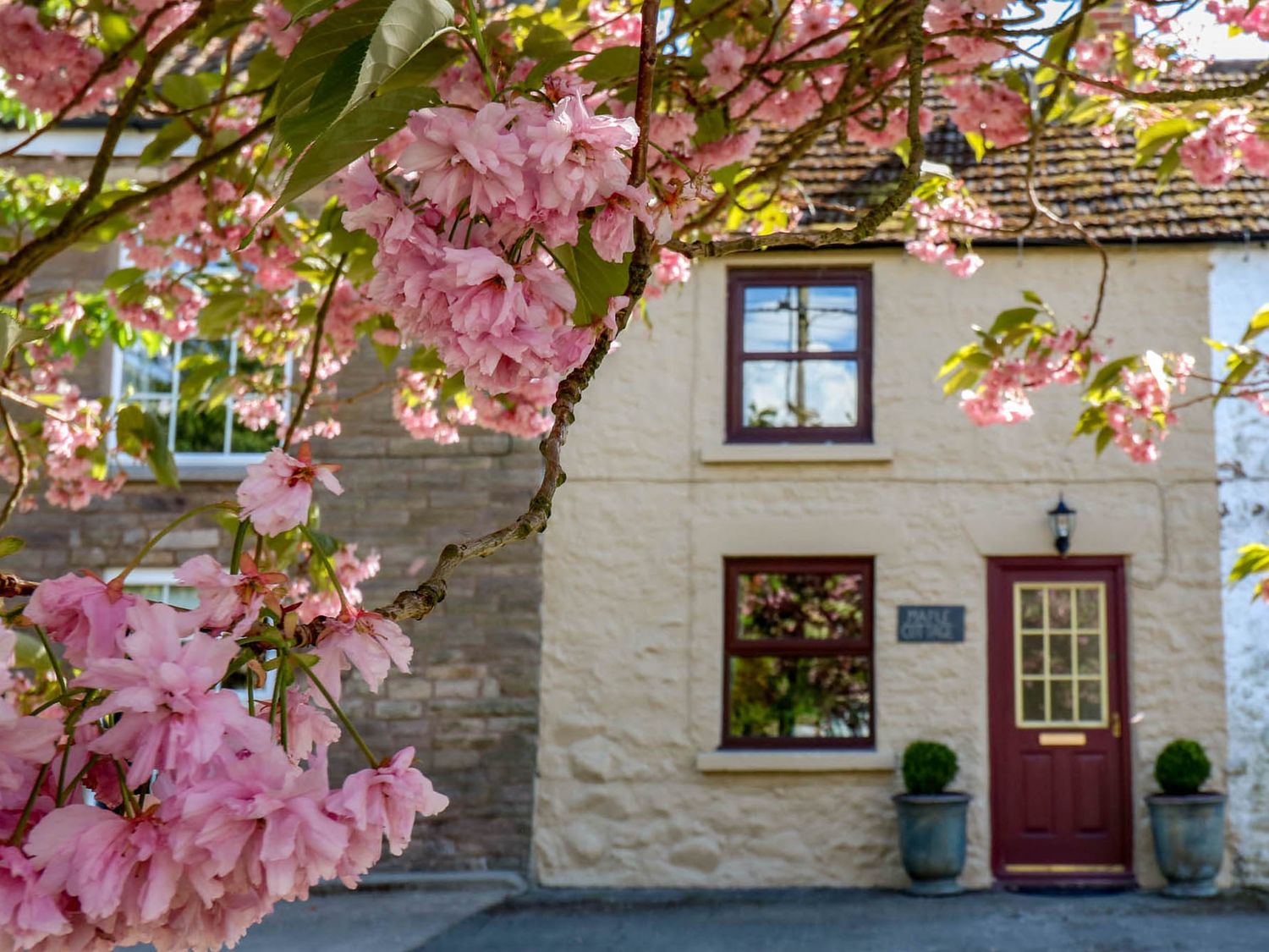Maple Cottage - Yorkshire Dales - 1174055 - photo 1