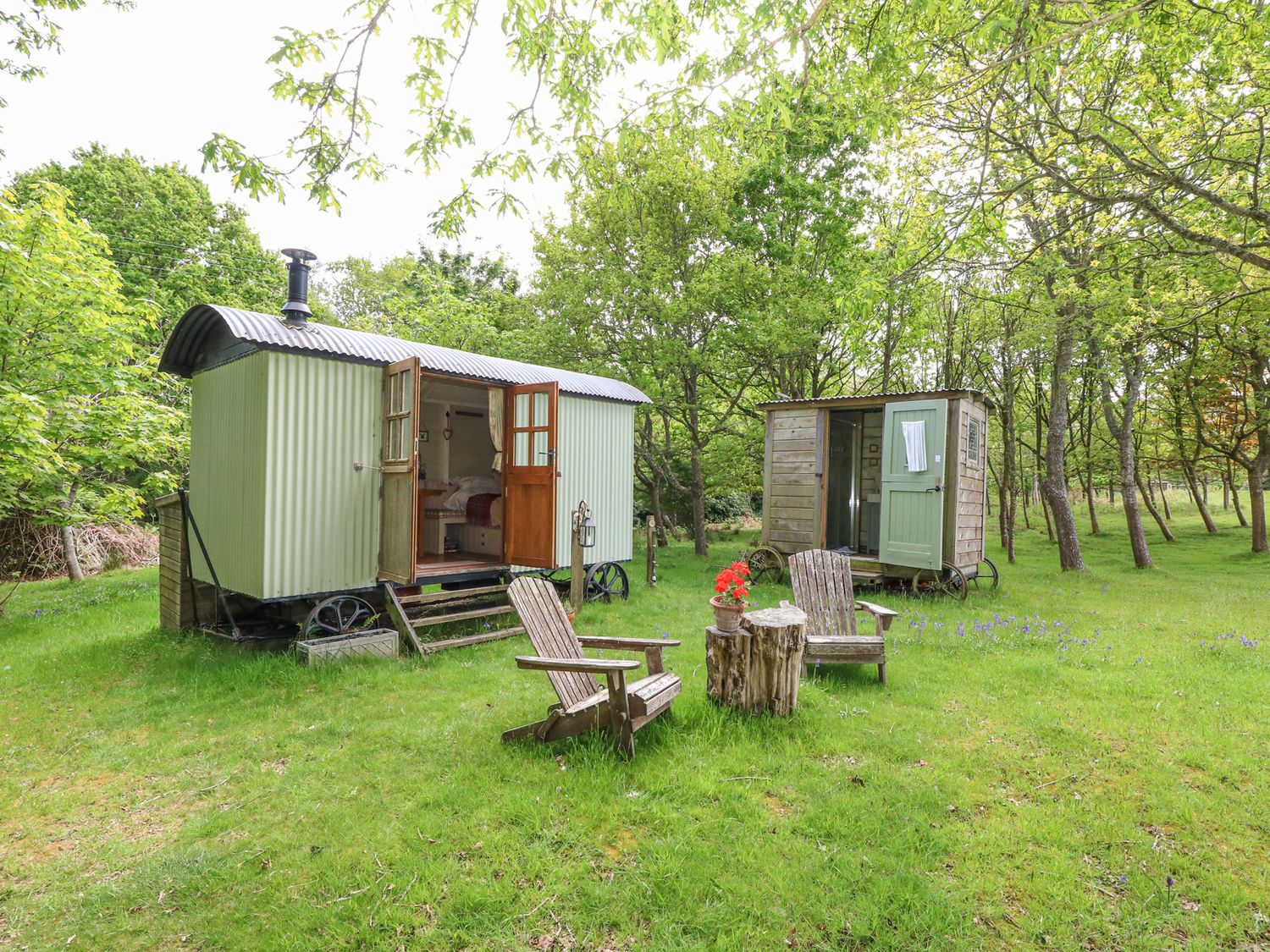 Sika - Dorset - 1174453 - photo 1