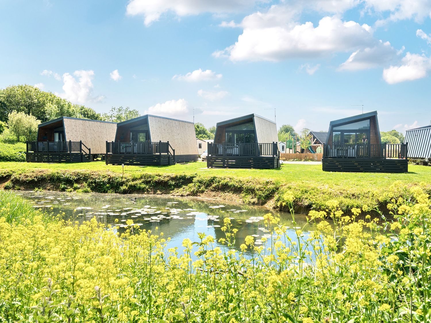 Four modern cabins facing a pond with yellow flowers on grass at Celestial Skylight - Billing Aquadrome Billing Aquadrome Holiday Park