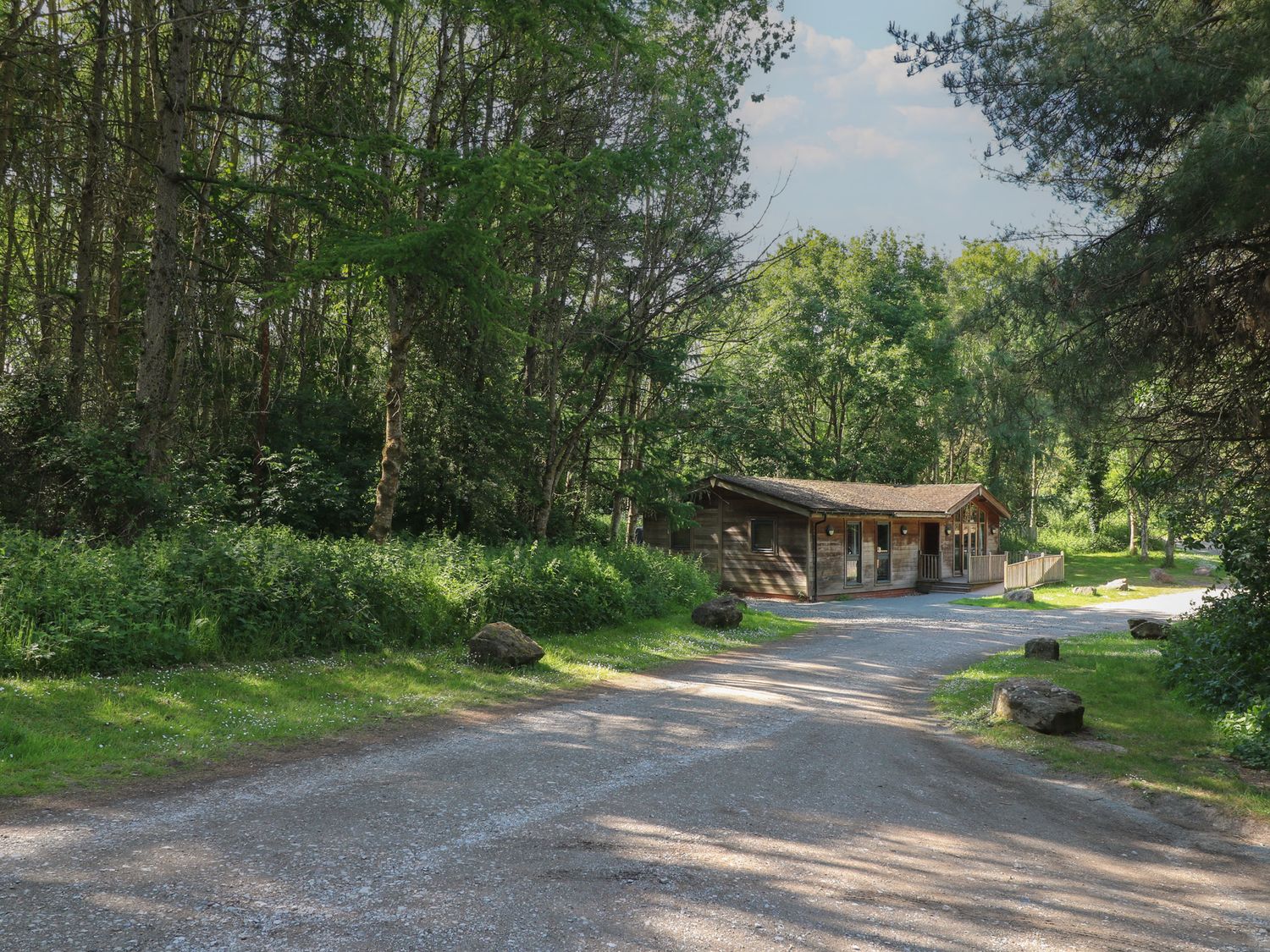 A gravel driveway leading to a wooden cabin surrounded by trees and greenery at Cedar Lodge in Rosliston