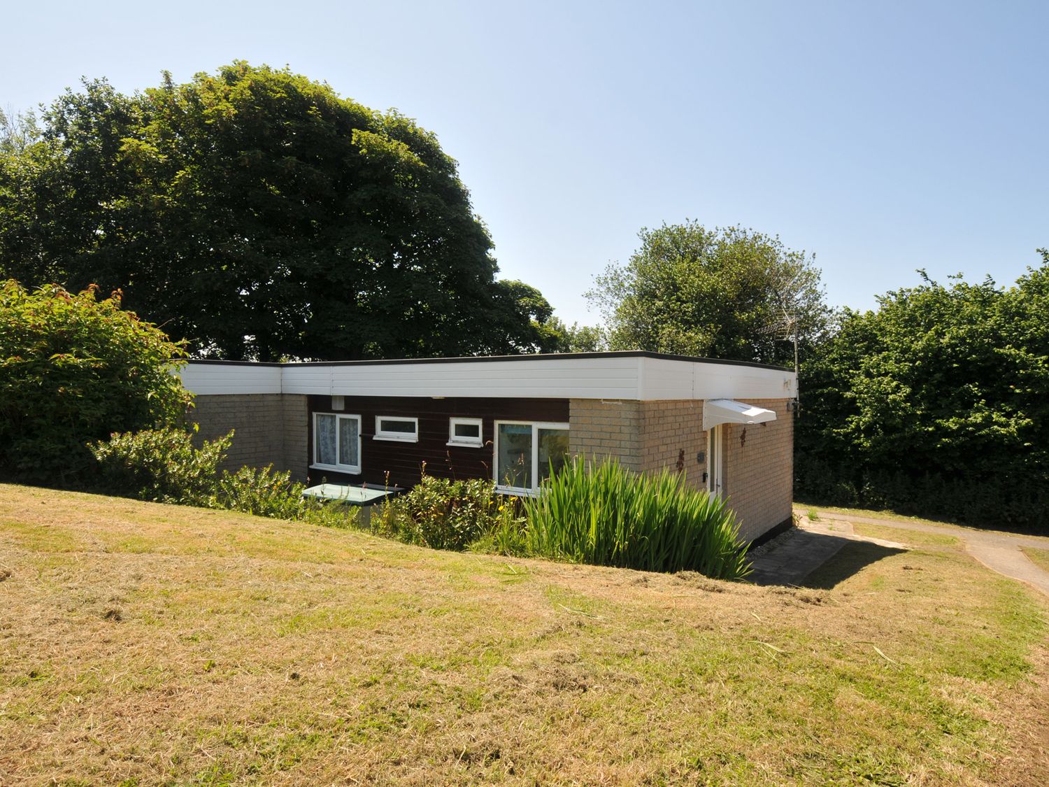 A house with windows and greenery at 8 Hillside Bude