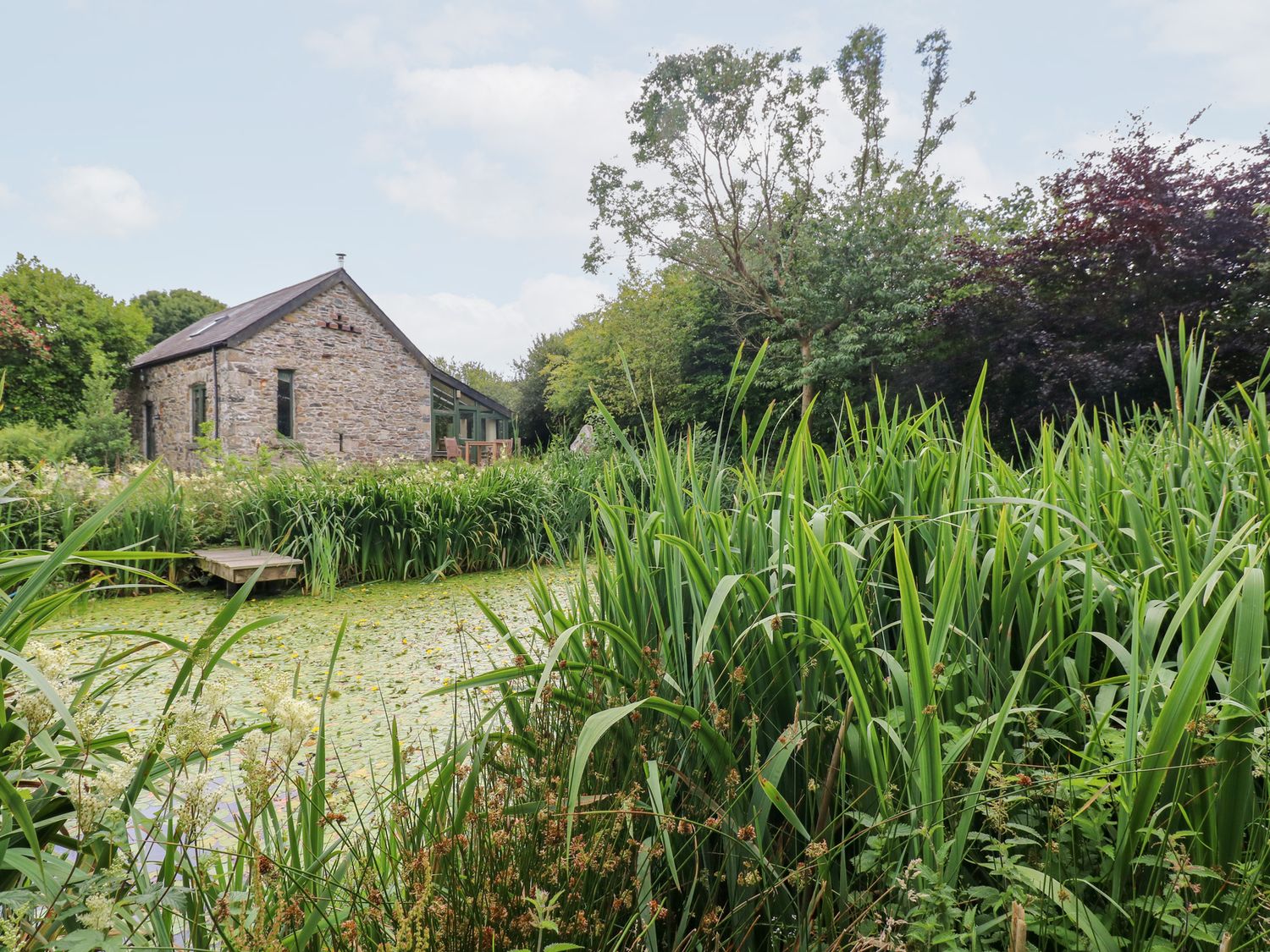 A house near a pond surrounded by plants at The Dovecote Llanychaer near Fishguard