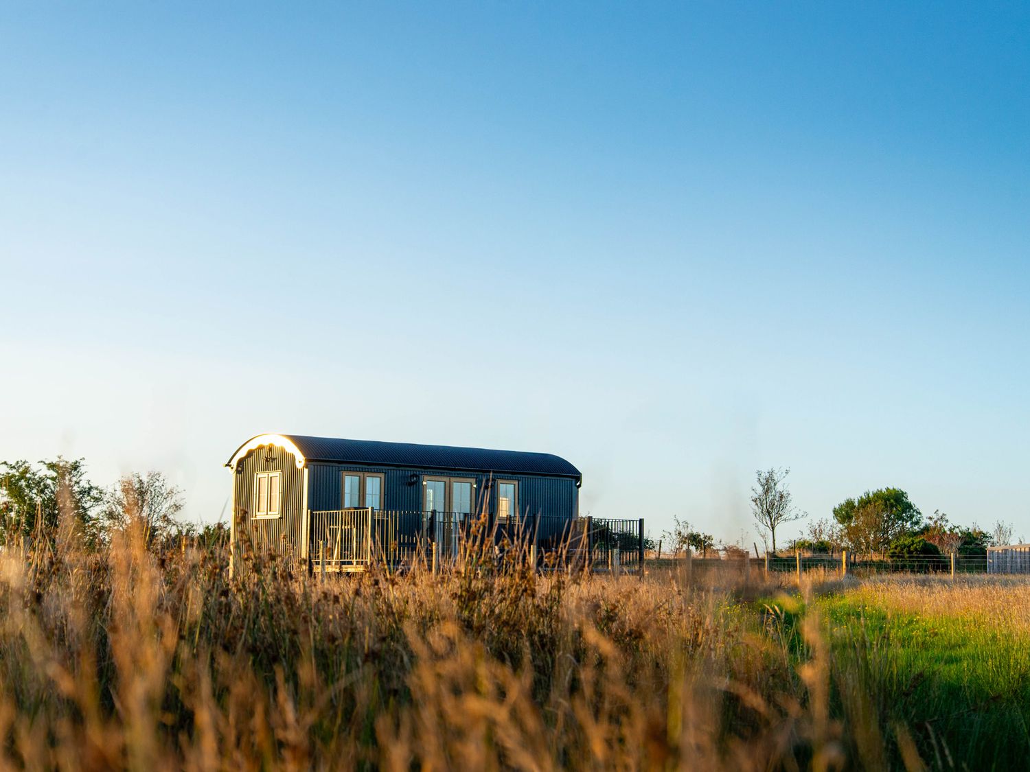 A shepherd's hut in a grassy field at Head For the Hills Glamping - Skylark Shepherd's Hut