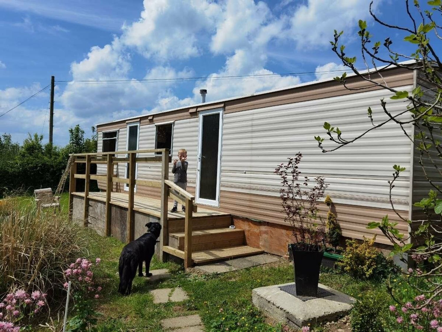 Gwarallt Bungalow - Holiday Accommodation 12891 - Mid Wales - 1185261 - photo 1