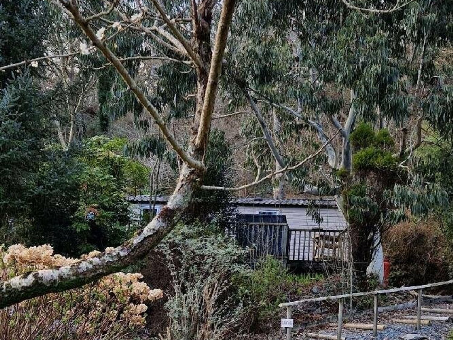 Aberdunant Hall Holiday Park - Holiday Accommodation 17100 - North Wales - 1186211 - photo 1