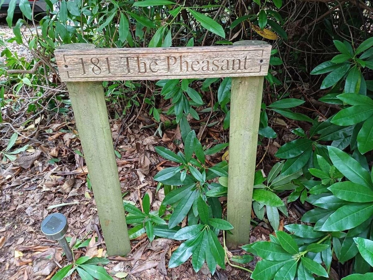 Kelling Heath Holiday Park - Holiday Accommodation 18994 - Norfolk - 1186801 - photo 1