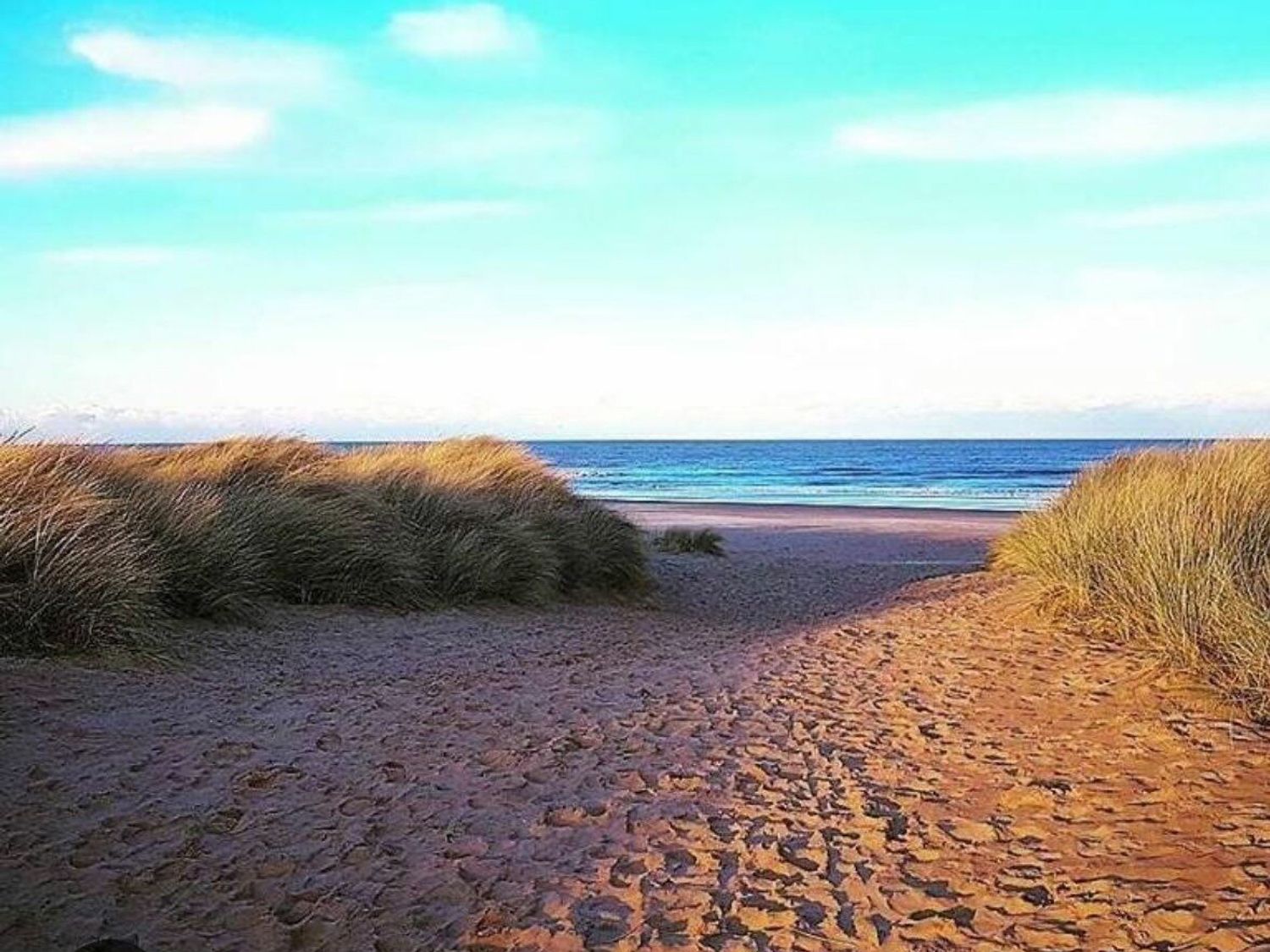 Golden Sands - Holiday Accommodation 21763 - Lincolnshire - 1188179 - photo 1