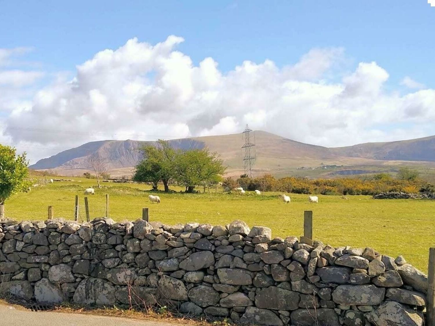 Llwyndu Mawr (private land) - Holiday Accommodation 7028 - North Wales - 1189060 - photo 1