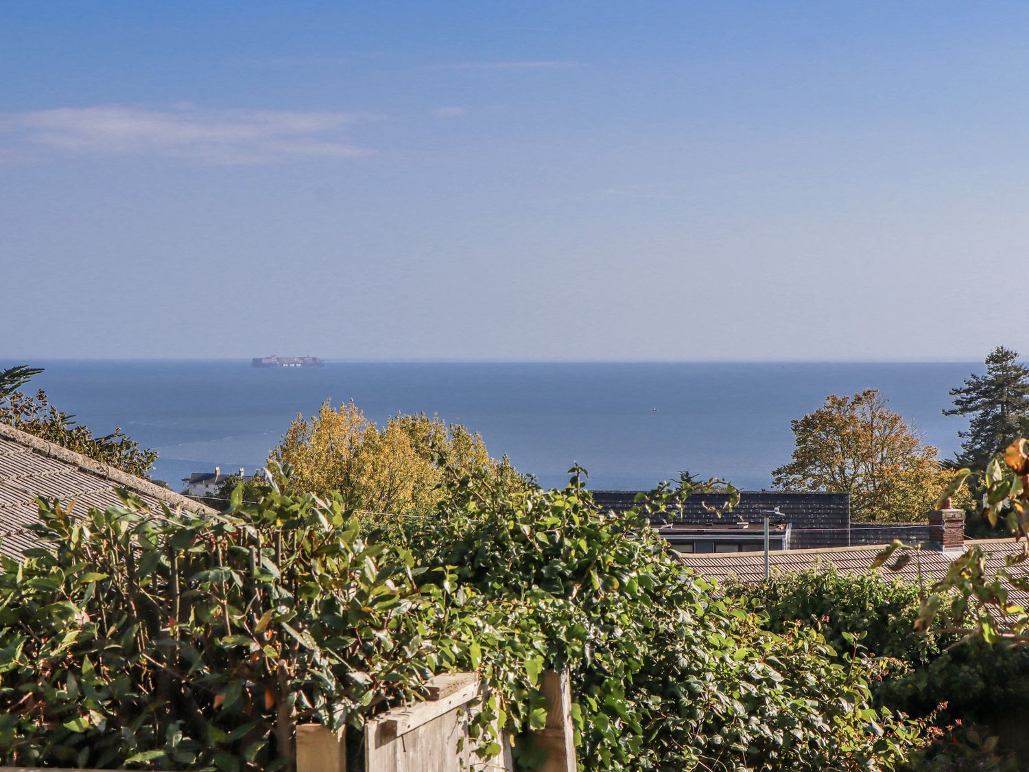 A view of the sea and trees from a hillside at Woodbury in Teignmouth