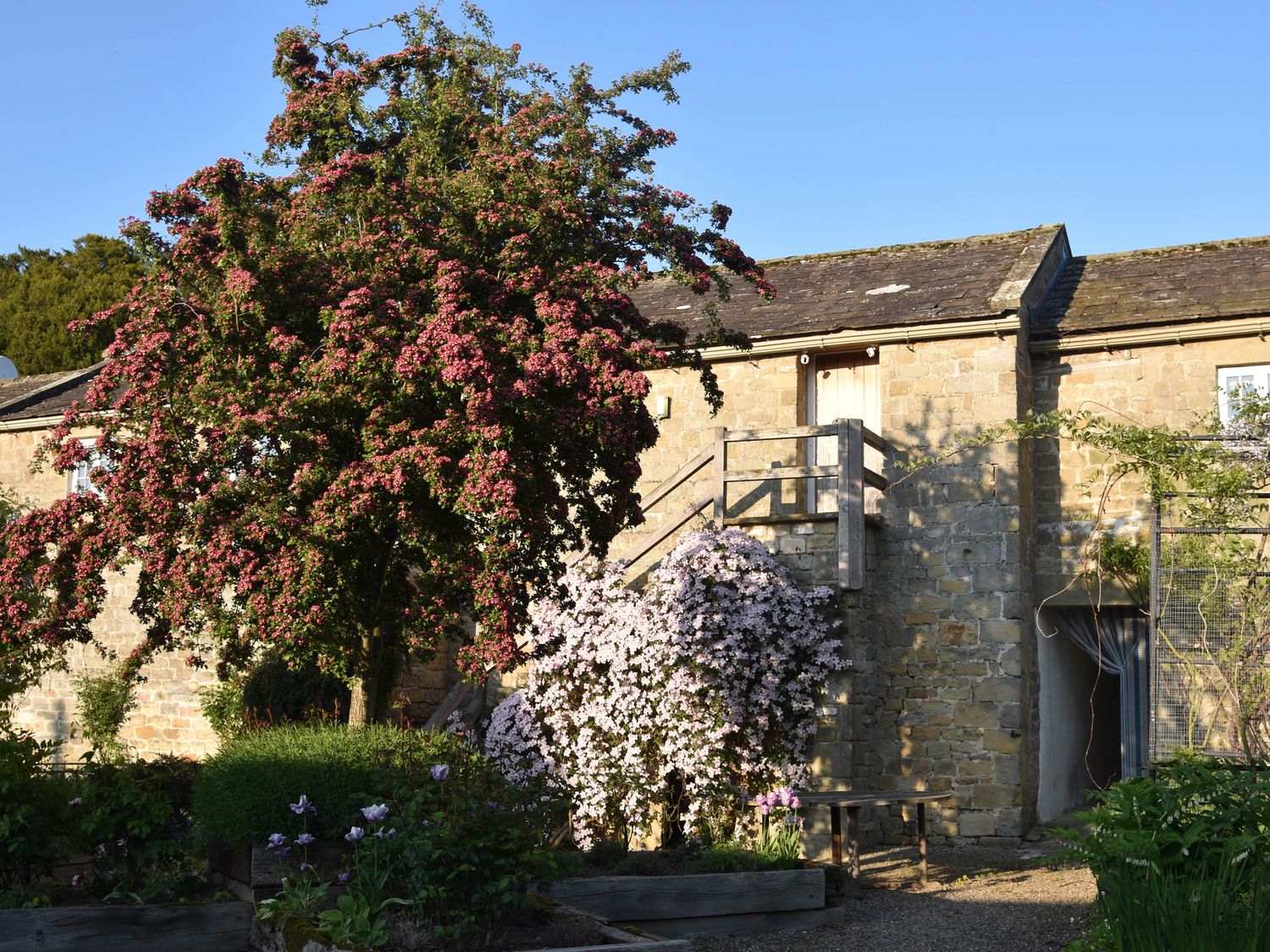 A garden with flowering plants and a building with stairs