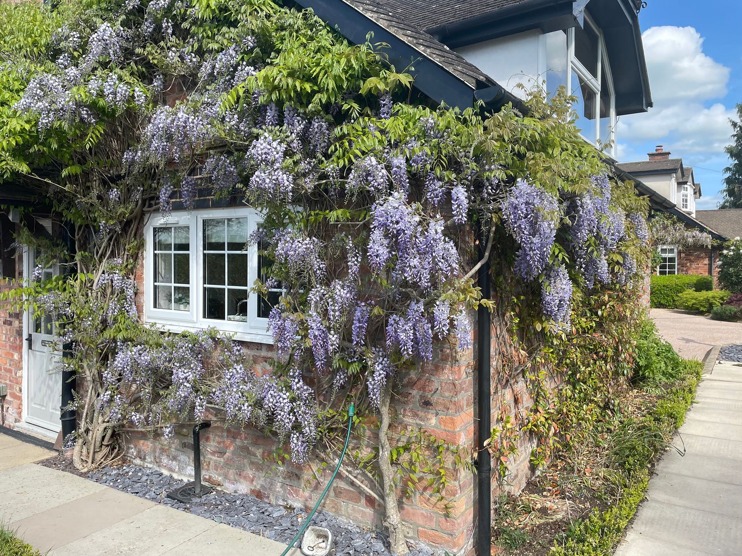 Curlew Cottage -  - 1191533 - photo 1