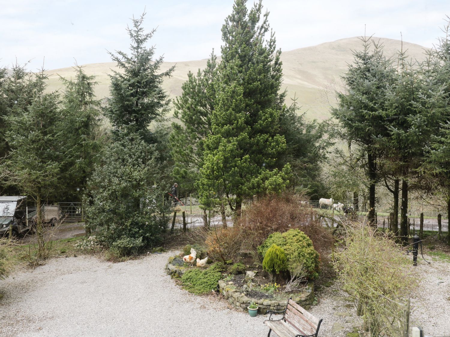 An outdoor garden area with trees chickens shrubs a bench a gravel path and hills in the background at Brant View in Cautley near Sedbergh