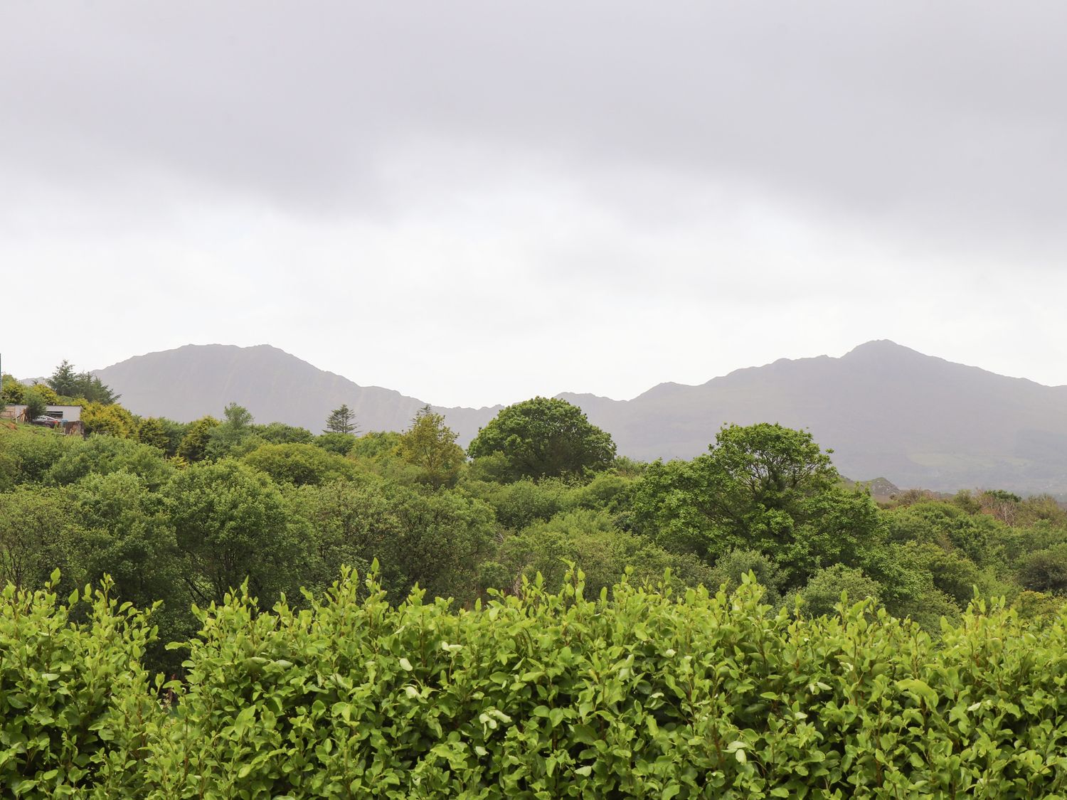 A view of green trees and bushes with mountains in the background at Ceol Na N'ean in Sneem County Kerry