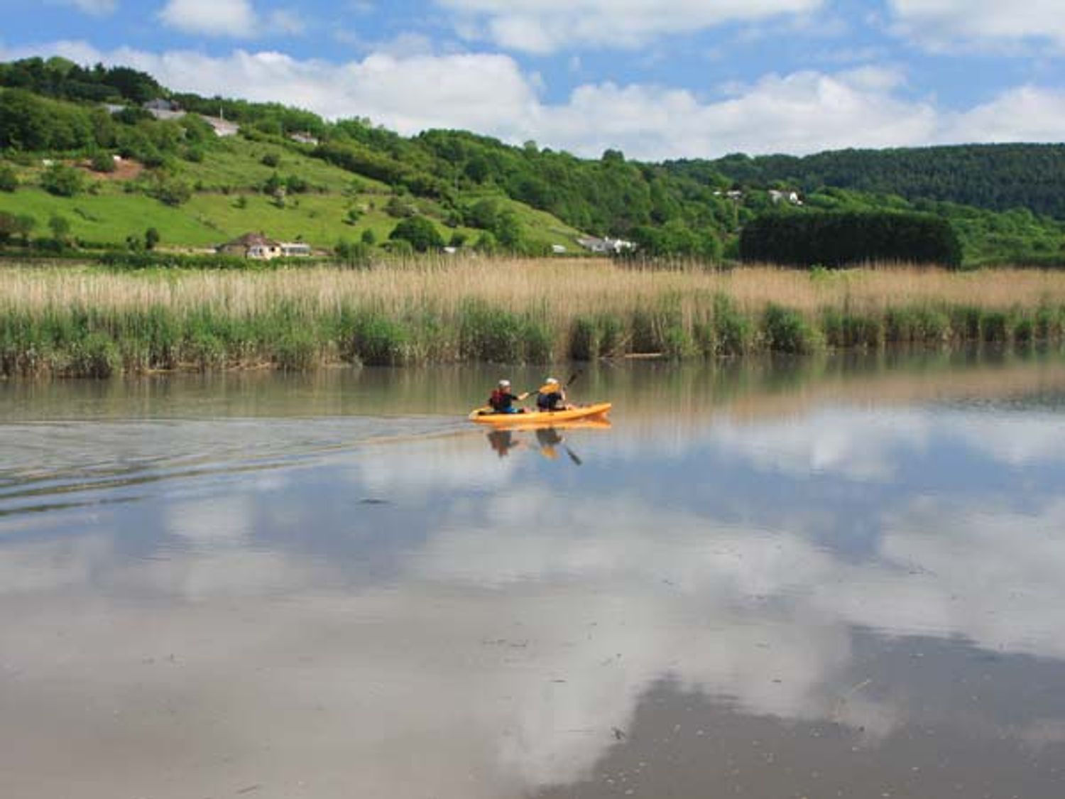 Tuckermarsh Quay River Cottage 2 photo 20