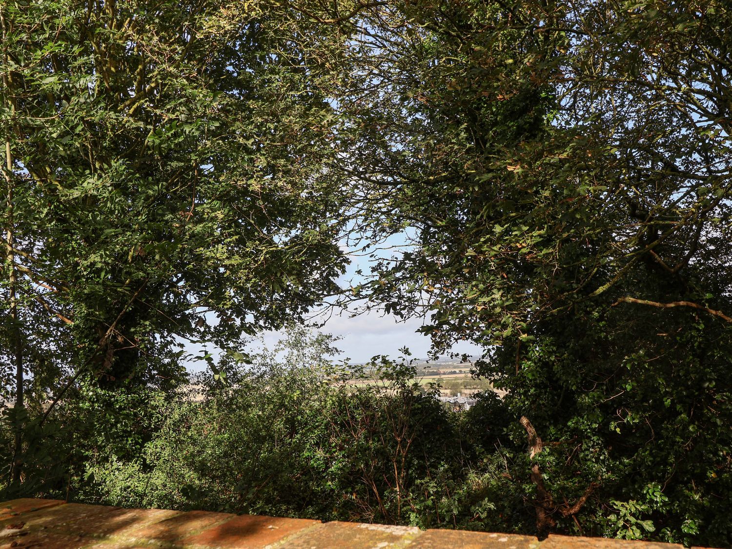 A view of trees and bushes with a glimpse of fields and sky beyond at Hill Top Cottage in Welbourn near Lincoln